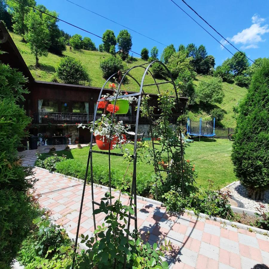 Hotel Casa Dana Olteanu Moeciu De Sus Exterior foto